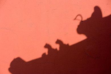 《使命召唤：战区》开发商QA员工要求成立工会